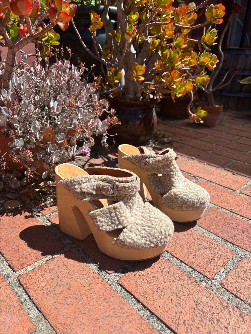 Vintage Rachel Comey Platform Clogs with Sherpa
